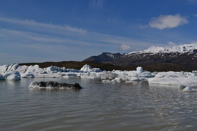 DSC_0526.JPG