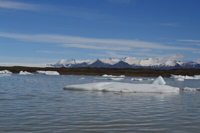 DSC_0527.JPG
