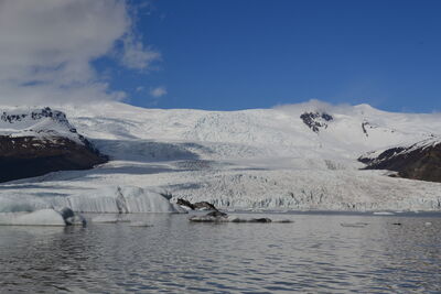 DSC_0528.JPG