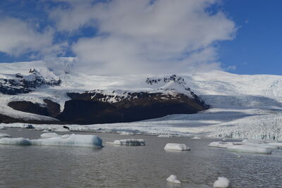 DSC_0530.JPG