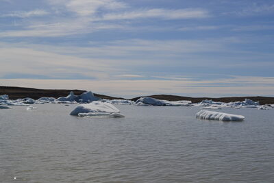 DSC_0533.JPG