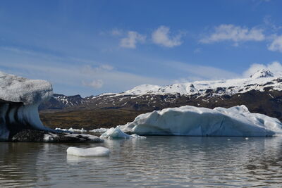 DSC_0536.JPG
