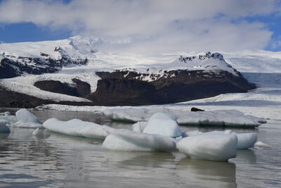 DSC_0538.JPG