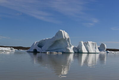 DSC_0540.JPG