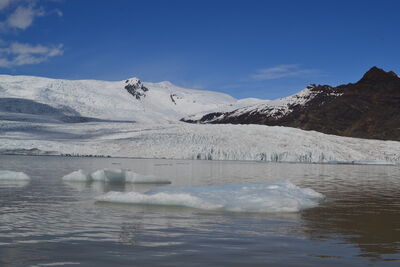 DSC_0546.JPG