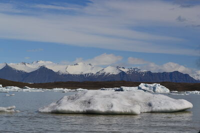 DSC_0560.JPG