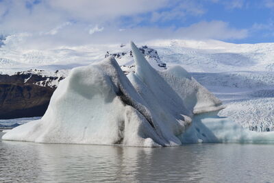 DSC_0563.JPG