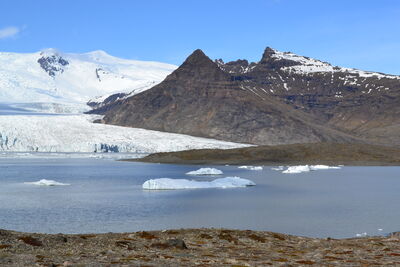 DSC_0570.JPG