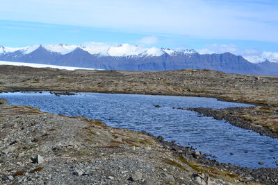 DSC_0575.JPG