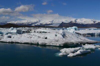 DSC_0585.JPG