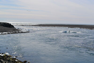 DSC_0594.JPG