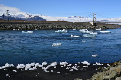 DSC_0596.JPG