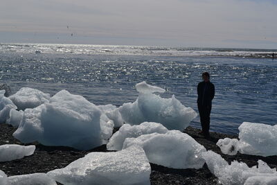DSC_0602.JPG