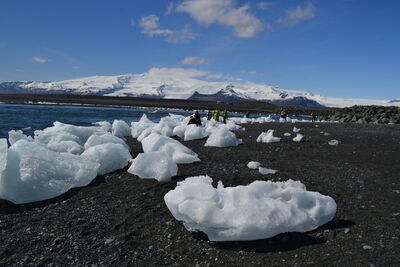 DSC_0612.JPG