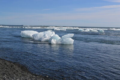 DSC_0614.JPG