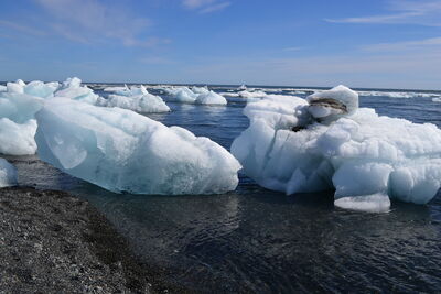 DSC_0616.JPG
