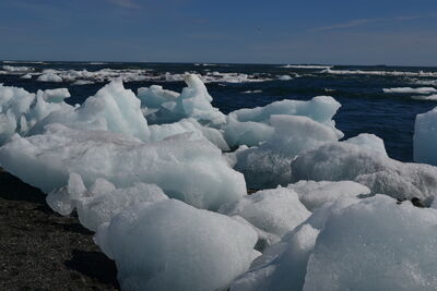 DSC_0627.JPG