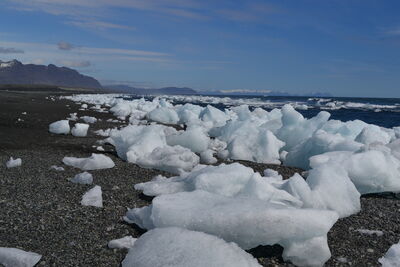 DSC_0635.JPG