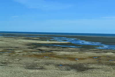 DSC_0658.JPG