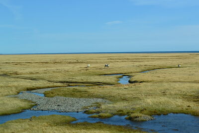 DSC_0660.JPG