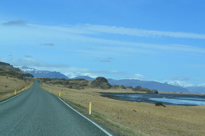 DSC_0664.JPG