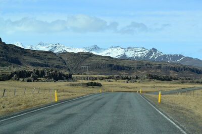 DSC_0666.JPG