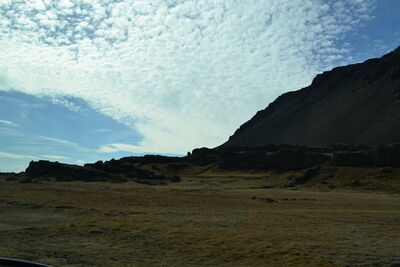 DSC_0679.JPG