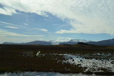 DSC_0683.JPG