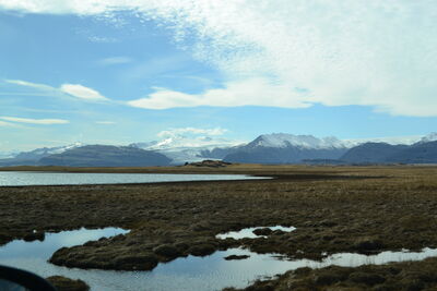 DSC_0685.JPG