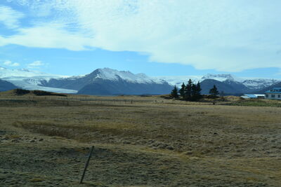 DSC_0686.JPG