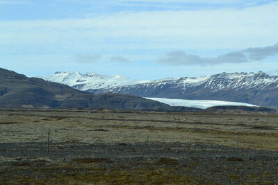 DSC_0690.JPG