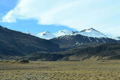 DSC_0701.JPG