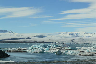 DSC_0703.JPG