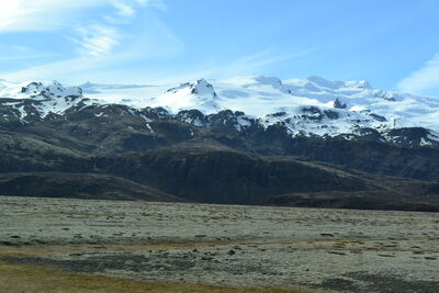 DSC_0706.JPG