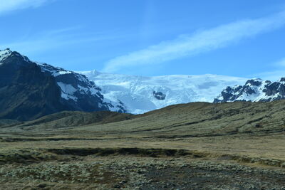 DSC_0707.JPG