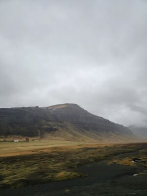 20240510_105256.jpg