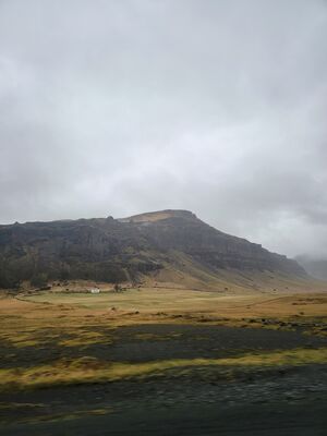20240510_105259.jpg
