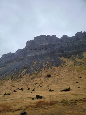 20240510_105335.jpg