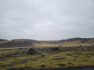 20240510_105543.jpg
