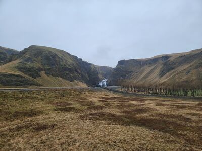 20240510_113244.jpg