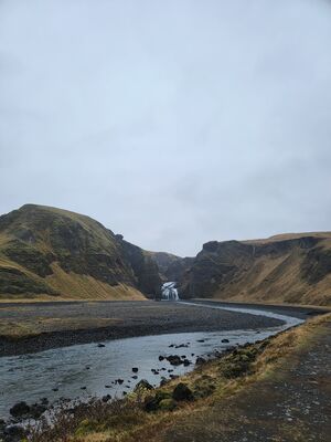 20240510_113356.jpg