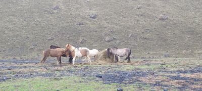 20240510_122811.jpg