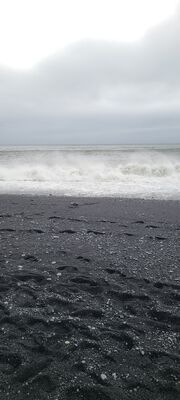 20240510_130445.jpg