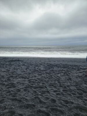 20240510_130511.jpg