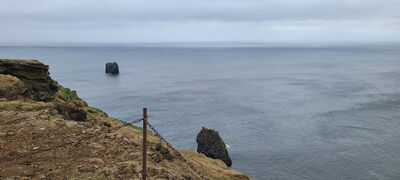 20240510_134221.jpg
