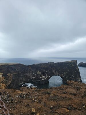 20240510_134444.jpg