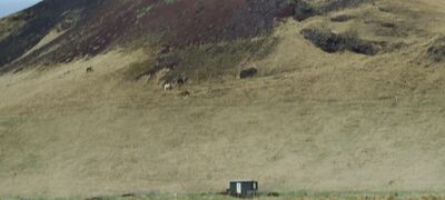 20240510_135951.jpg