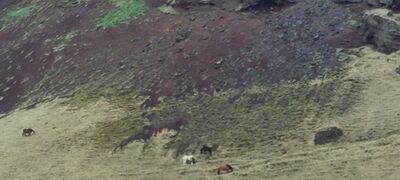 20240510_135956.jpg