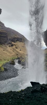 20240510_143614.jpg