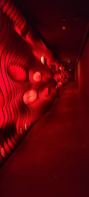 20240510_162206(2).jpg